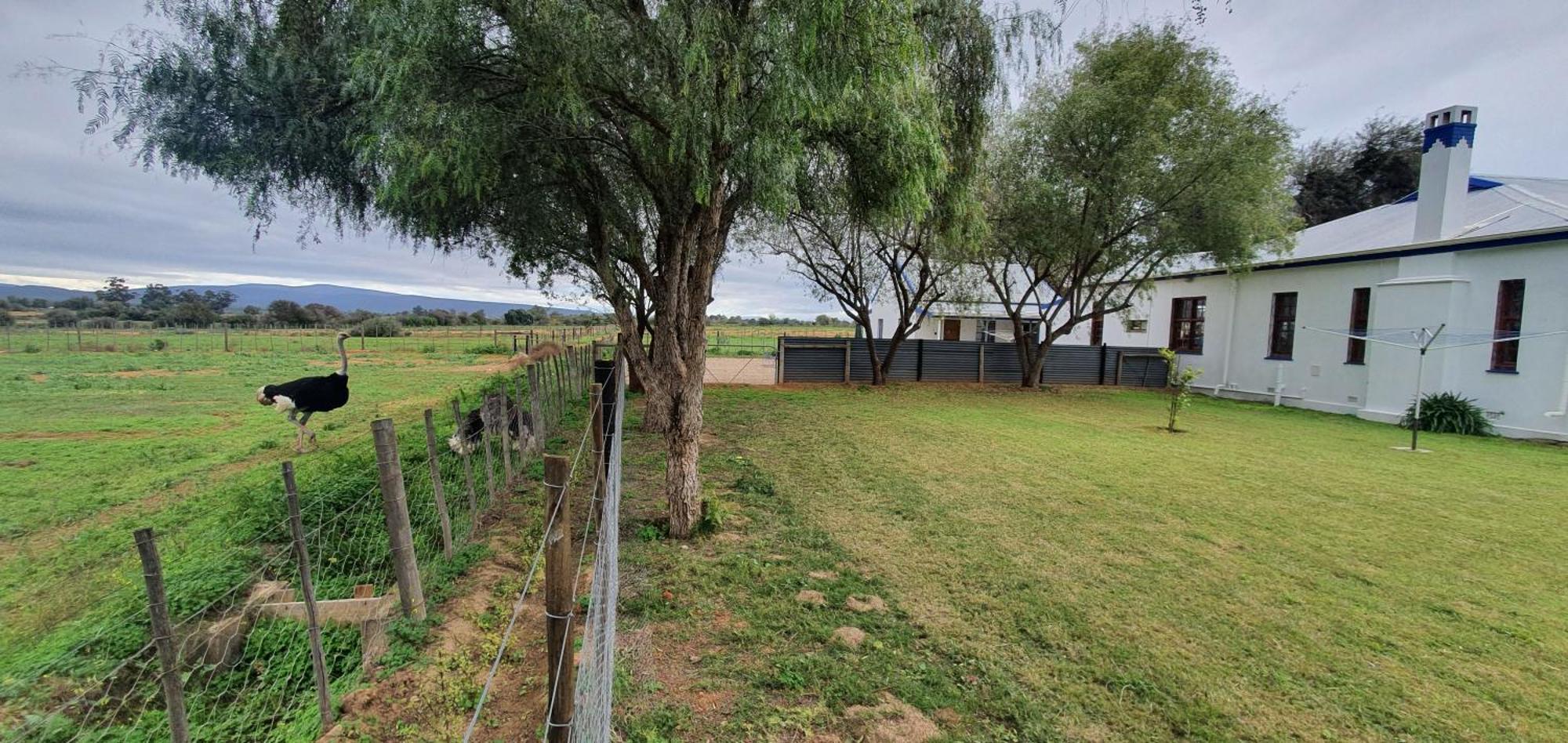 오쇼른 Karoo Leeu Self Catering 빌라 외부 사진